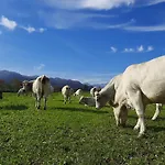 Fior Di Campo *