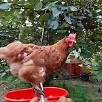 Vakantieboerderij Fior Di Campo *