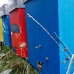 ファームステイ Fior Di Campo