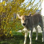 Fior Di Campo ファームステイ *