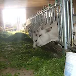 Feriegård Fior Di Campo Dronero