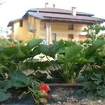 Fior Di Campo Feriegård Dronero