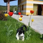 Fior Di Campo ファームステイ ドロネーロ