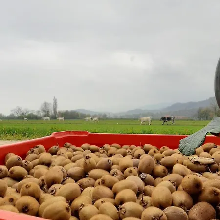 Fior Di Campo Farmház *