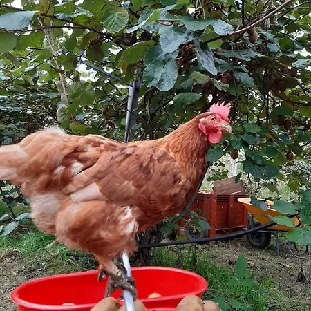 Alloggio per agriturismo Fior Di Campo *