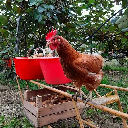 Fior Di Campo Alloggio per agriturismo *