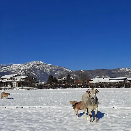 Alloggio per agriturismo Fior Di Campo