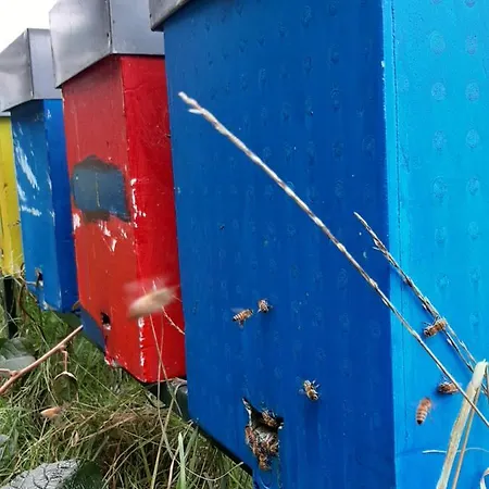 Farmház Fior Di Campo