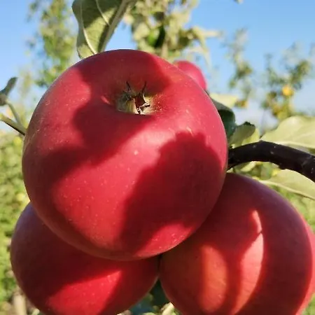 Alloggio per agriturismo Fior Di Campo *
