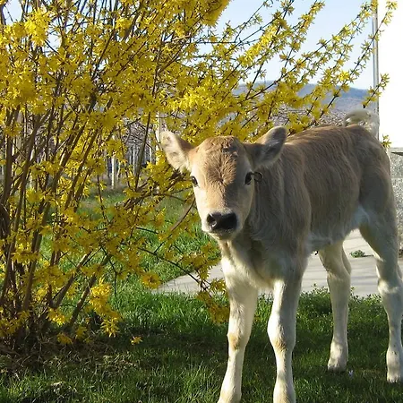 Fior Di Campo Bauernhof *