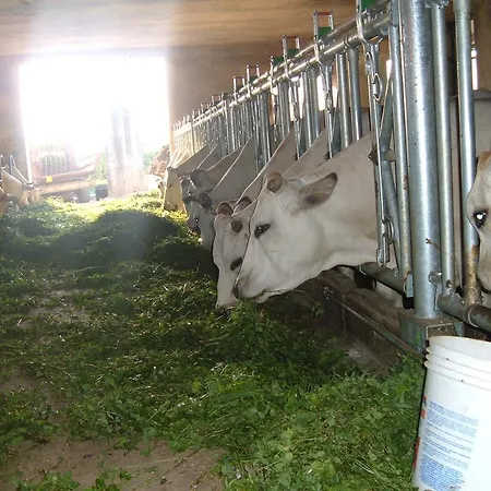 农家乐 费奥迪卡姆波农家乐 德罗内罗