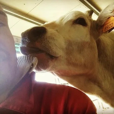 Fior Di Campo Bauernhof