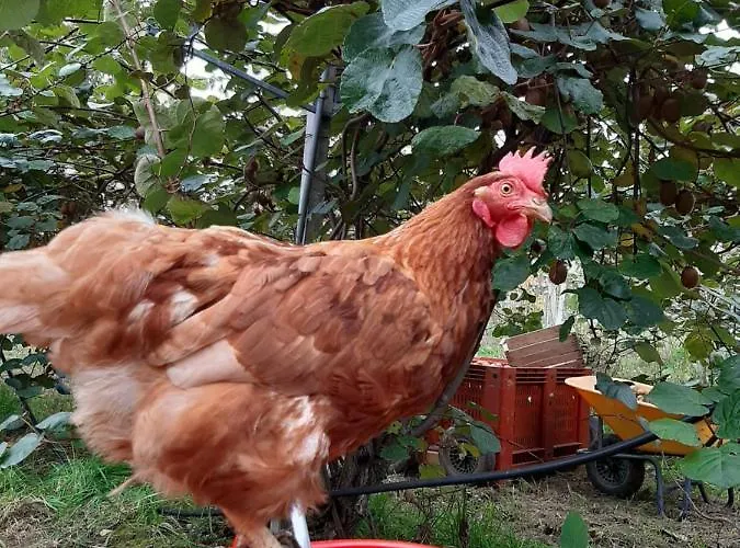 Alloggio per agriturismo Fior Di Campo *