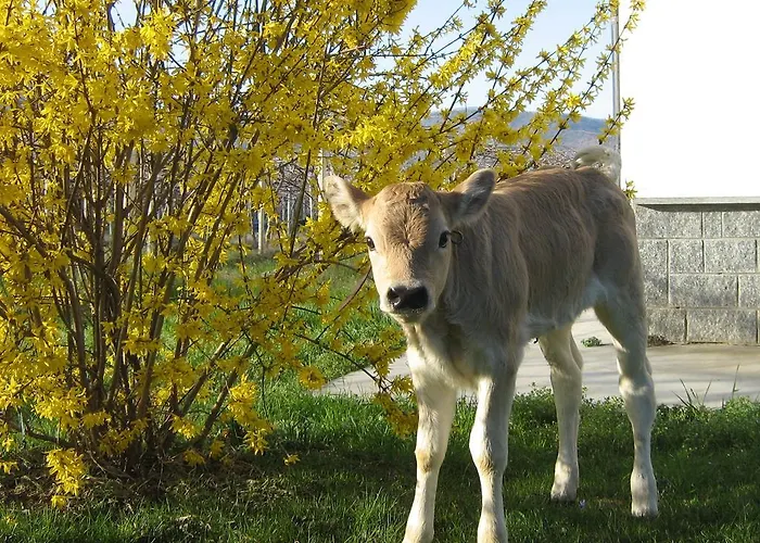 Fior Di Campo Κατάλυμα σε φάρμα *