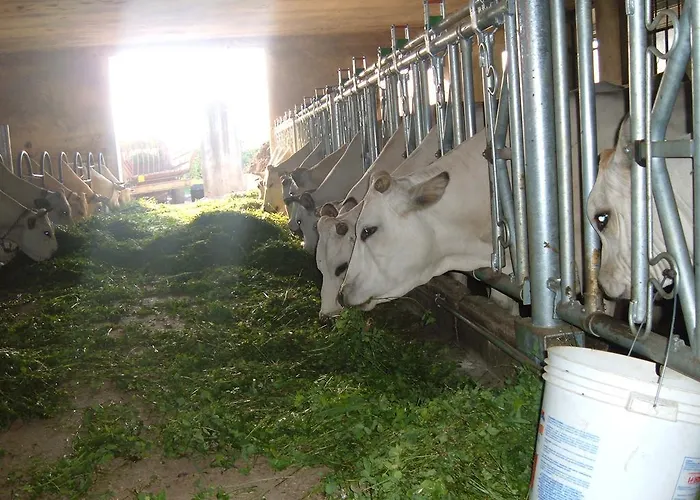 Séjour à la ferme Fior Di Campo Dronero