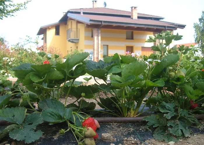 Fior Di Campo Alloggio per agriturismo Dronero