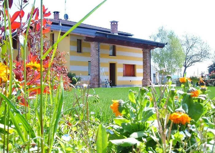 Fior Di Campo *